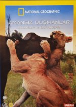 Amansız Düşmanlar: Aslanlar ve Bufalolar afişi