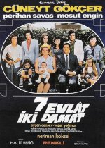 Yedi Evlat İki Damat afişi