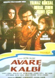 Avare Kalbi