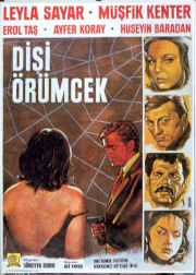 Dişi Örümcek