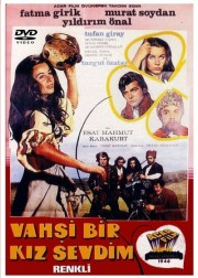 Vahşi Bir Kız Sevdim